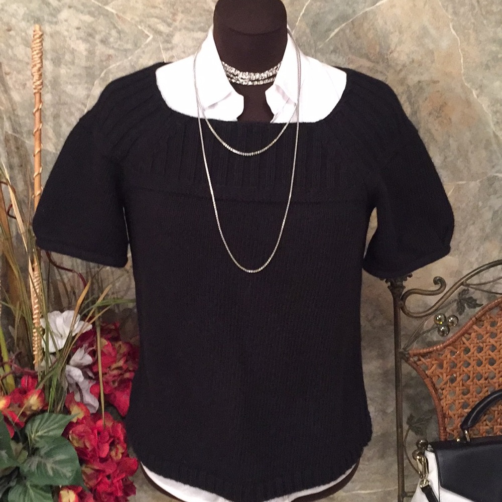 Ann Taylor 🌹short sleeve pullover sweater